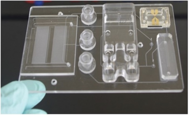 Image of lab-on-a-chip technology