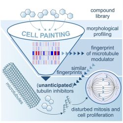 Image showing process of cell painting