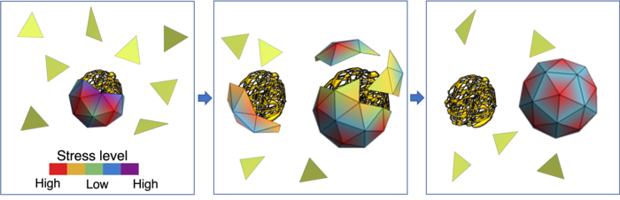 Image showing capsid formation