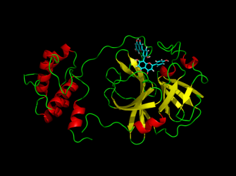 Discovery of natural compounds that inhibit SARS-CoV-2 main protease