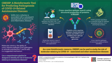 Gwangju Institute of Science and Technology Researchers Develop a Tool for Studying Inflammatory Diseases Related to COVID-19 (IMAGE)