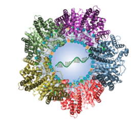 Image showing Illustration of lipid nanoparticle packed with mRNA and surrounded by attached plasma proteins