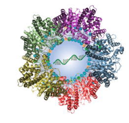 Image showing Illustration of lipid nanoparticle packed with mRNA and surrounded by attached plasma proteins