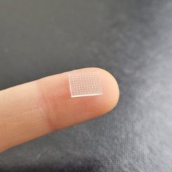 Microneedle vaccine