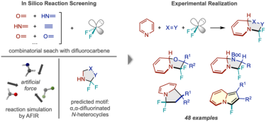 Image: Workflow of reaction discovery via in-silico screening. (Left) Reactions between difluorocarbene and numerous pairs of small molecules were simulated, predicting a N-heterocycle product fluorinated twice at the alpha carbon. (Right) The successful reaction framework using pyridine and examples of the types of product compounds obtained.