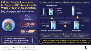 Efficient Sample Preparation for Single-cell Proteomics with Water Droplet-in-Oil Digestion (IMAGE)