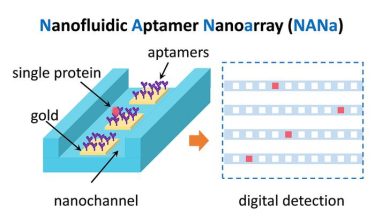 nanofluidic aptamer nanoarray 