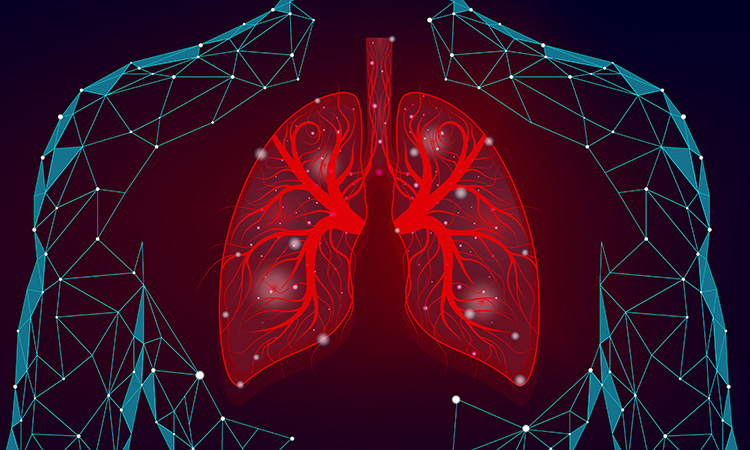 Lung inflammation and asthma