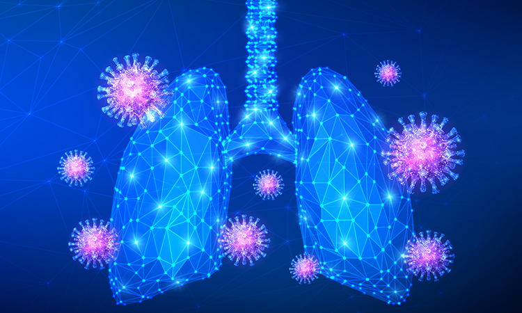 Lungs and SARS-CoV-2