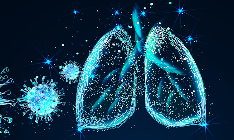 Coronaviruses in the lungs