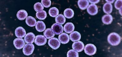 MRSA