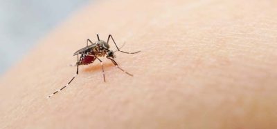 Assay to find malaria inhibitors