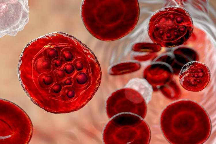 malaria