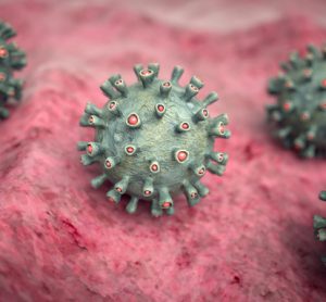 Marburg virus