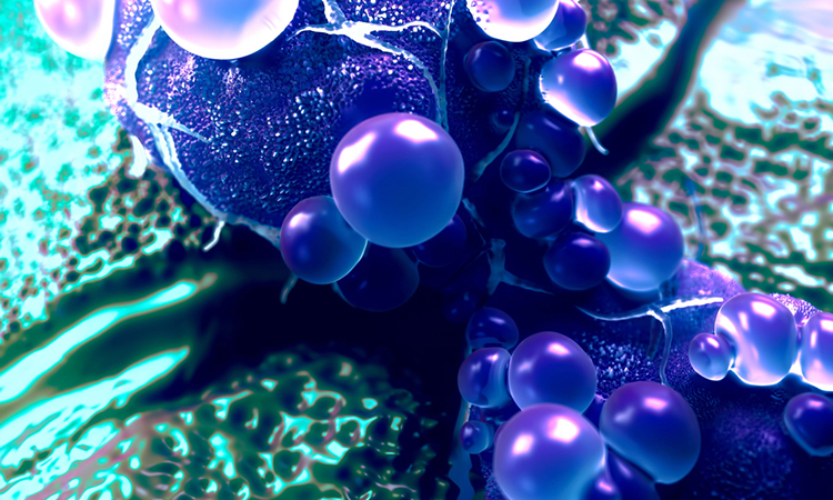 3d illustration of Mesenchymal Stem Cell