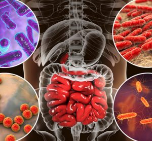 Microbiome