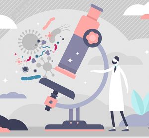 Microscopy and deep learning
