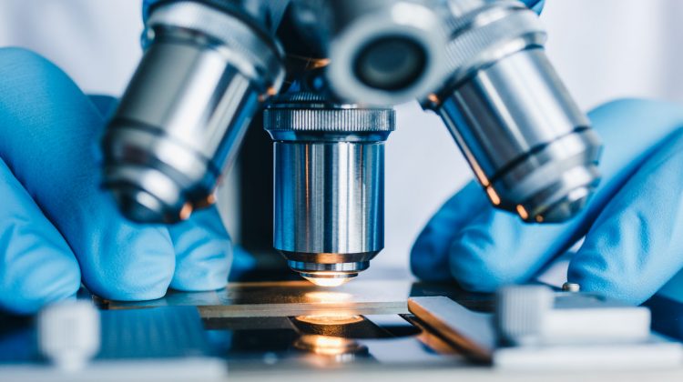 Close up of a light microscopy being used by a researcher - image shows just the metal lens and table with slide on