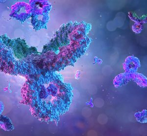antibodies in blue on a purple background