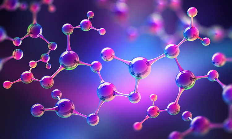 Screening molecules