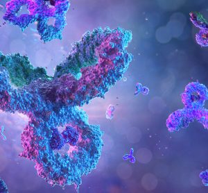 Monoclonal antibody