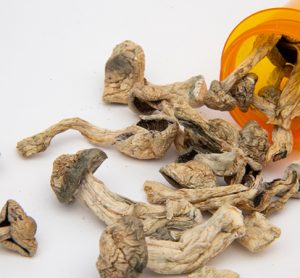 Psilocybin