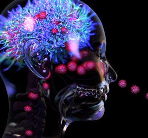 Graphic of a person breathing in a stream of SARS-CoV-2 viral particles, some going down the throat to the lungs, others going up to the brain - idea of neurological symptoms of COVID-19
