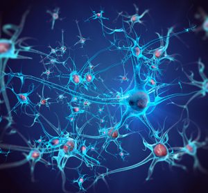 Neurons and stem cells
