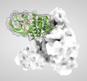 New horizons in next-generation small molecule kinase inhibitors