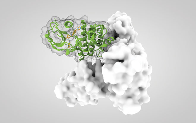 New horizons in next-generation small molecule kinase inhibitors