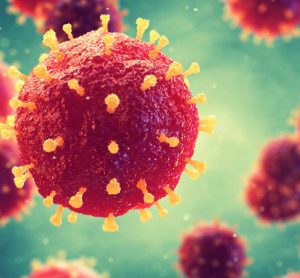New study helps improve the understanding of bacteria and viruses