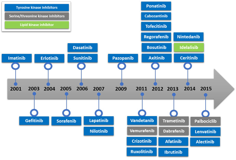 FDA-approved small molecule kinase inhibitors