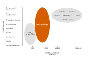 Figure 3: Macrocycles occupy an ideal drug space with high oral availability and the ability to bind elusive targets 