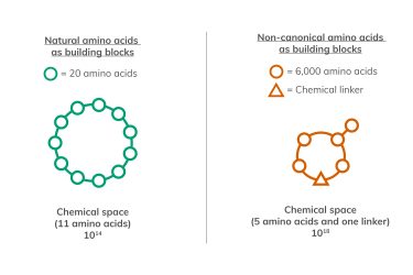 Next-generation macrocycles