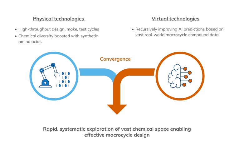 Integration of physical and virtual technologies enables more effective macrocycle design
