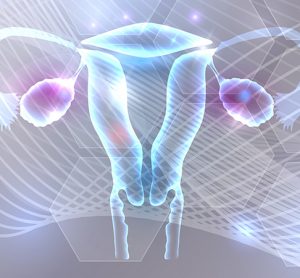 Ovaries and hormones