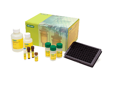 Bio-Rad Bio Plex Multiplex Immunoassay System