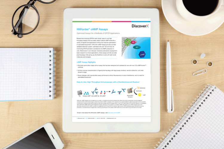 PRODUCT-HitHunter-cAMP-Assays