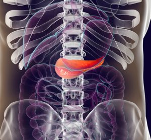 Pancreas and tumours