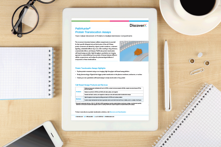 PathHunter Protein Translocation Assays