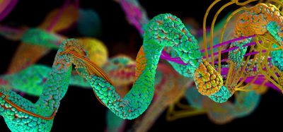 Peptide