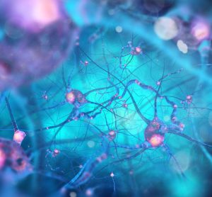 Pharmacological chaperone therapy shown to prevent Alzheimer's in mice