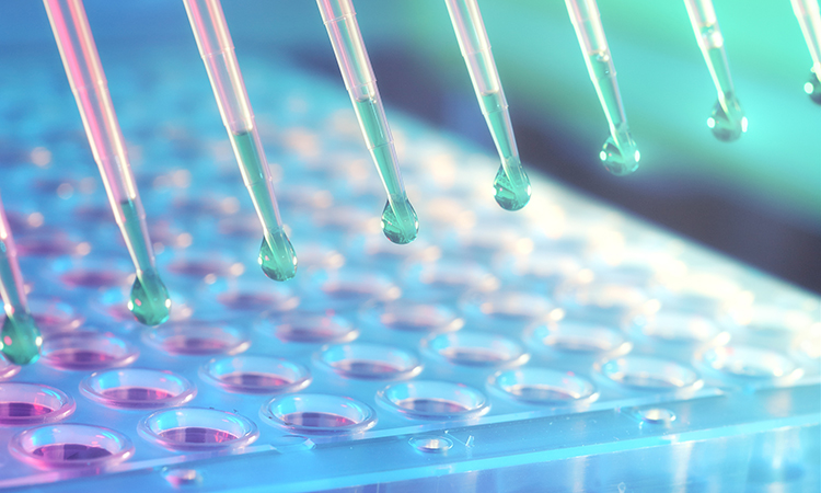 Label-free compound profiling automation