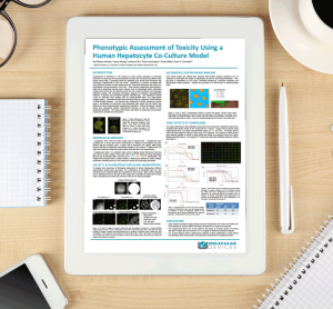 Poster--Phenotypic-assessment-of-toxicity-on-hepatocyte-islands