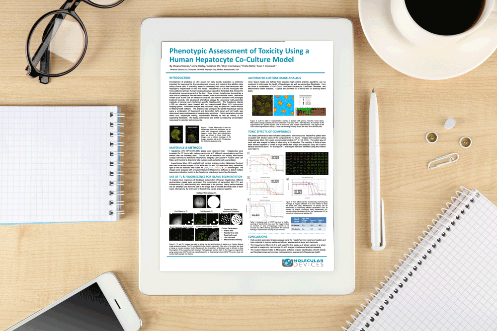 Poster--Phenotypic-assessment-of-toxicity-on-hepatocyte-islands