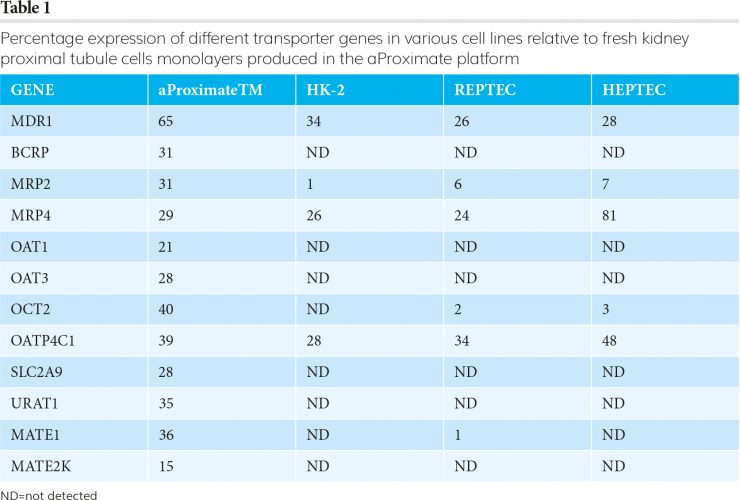 Table 1 nephrotoxicity