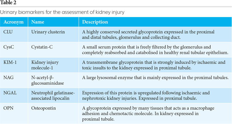 Table 2 nephrotoxicity article