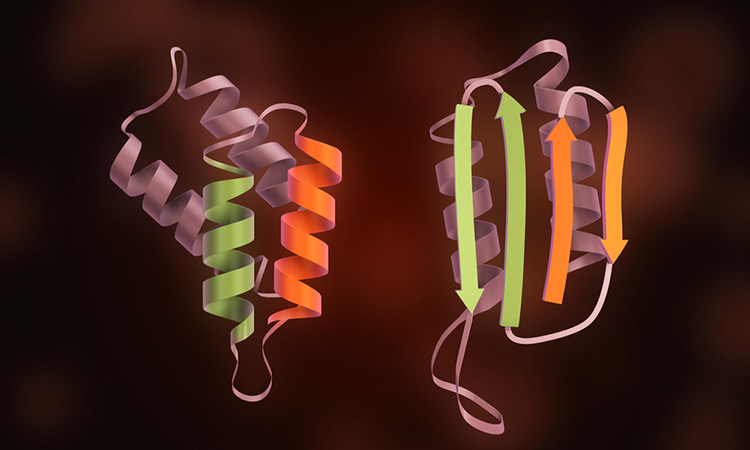 Prion structures