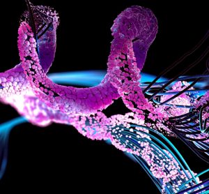 Protein structure