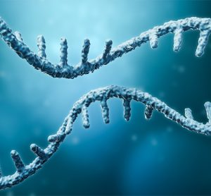 Messenger RNA or mRNA strand 3D rendering illustration with copy space. Genetics, science, medical research, genome replication concepts.